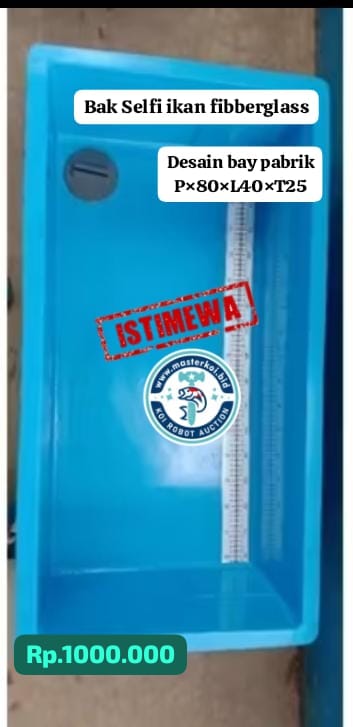 BAK UKUR ATAO BAK SELFI IKAN BAHAN FIBERGLASS UKURAN 804025 DESAIN DR PABRIK YG SUDAH PROFESIONAL NOTE PEMBAYARAN NON REKPEN 80cm