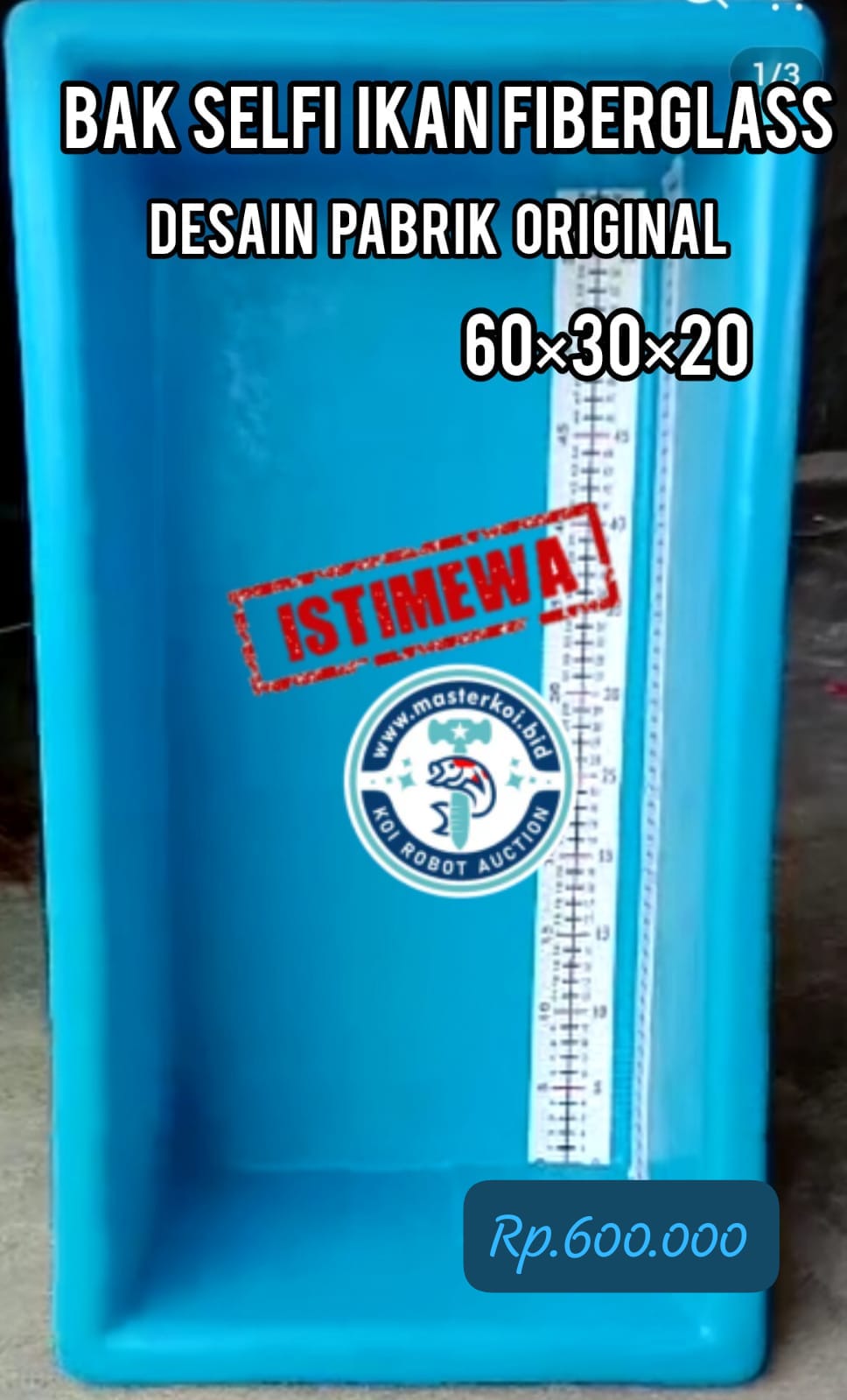 BAK UKUR ATAO BAK SELFI IKAN BAHAN FIBERGLASS UKURAN 603020 DR DESAIN PABRIK YG SUDAH PROFESIONAL NOTE PEMBAYARAN NON REKPEN 60cm