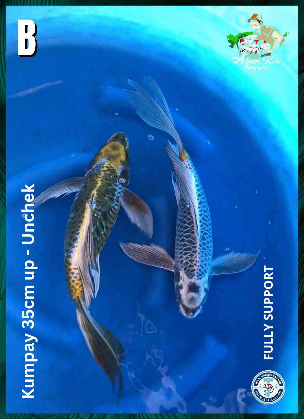 KUMPAY 35cm UP