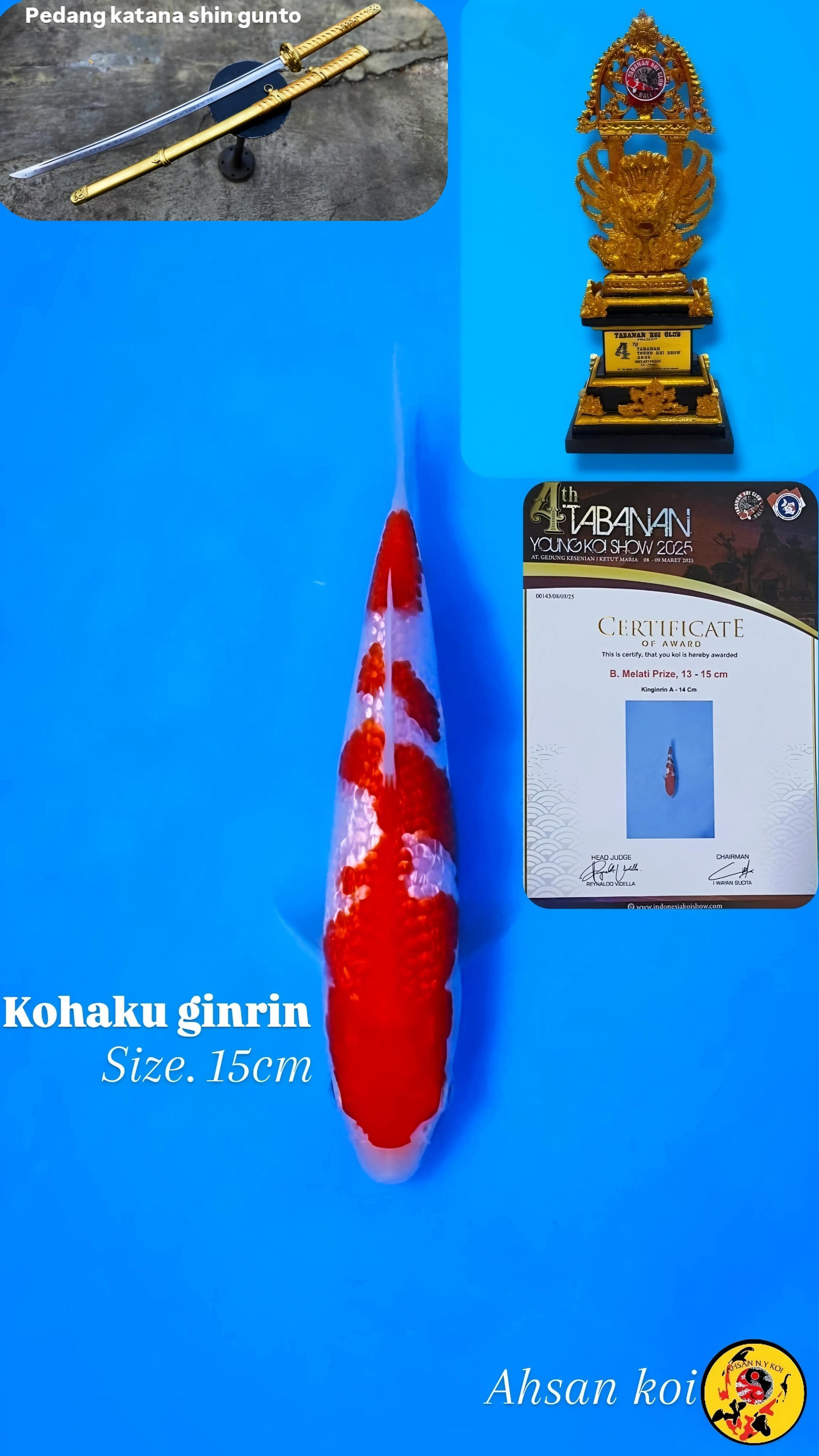 KOHAKU GINRIN INCLUDE TROPHY 15cm