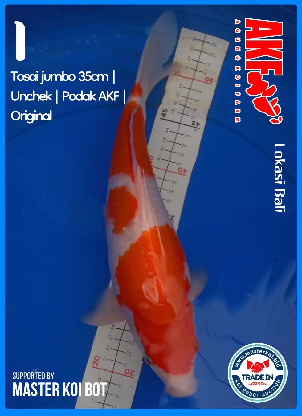 TOSAI JUMBO 35cm