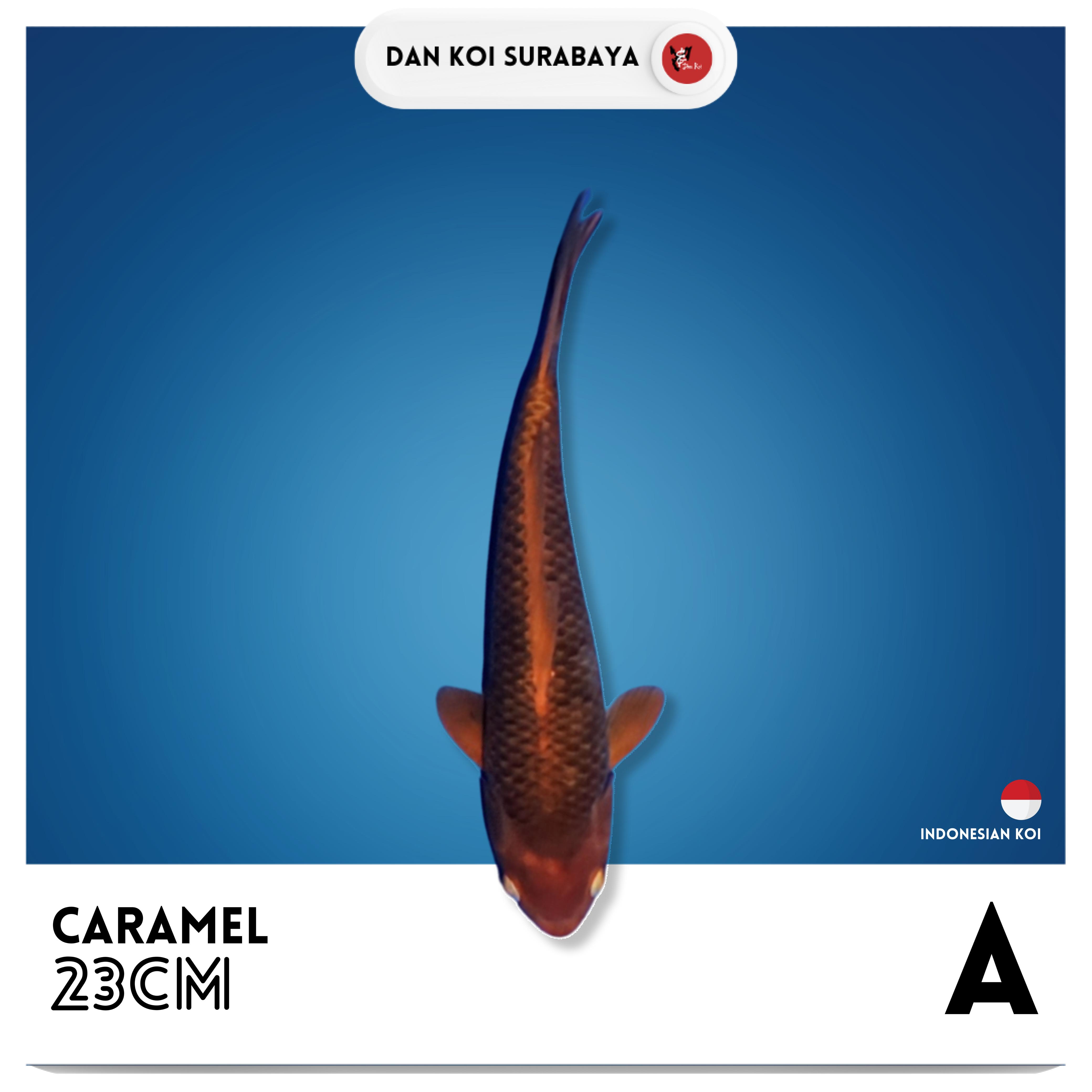CARAMEL 23cm