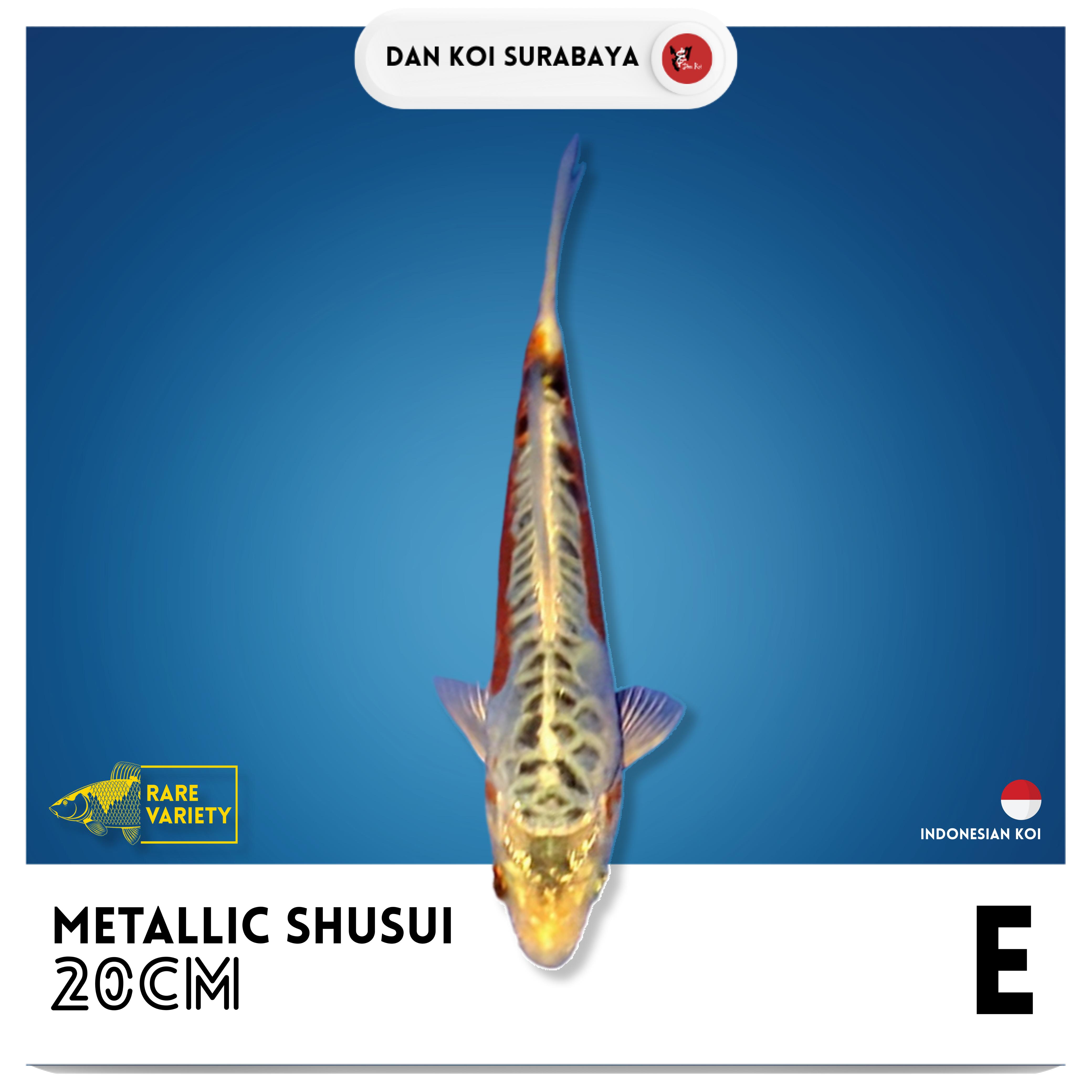 METALLIC SHUSUI 20cm