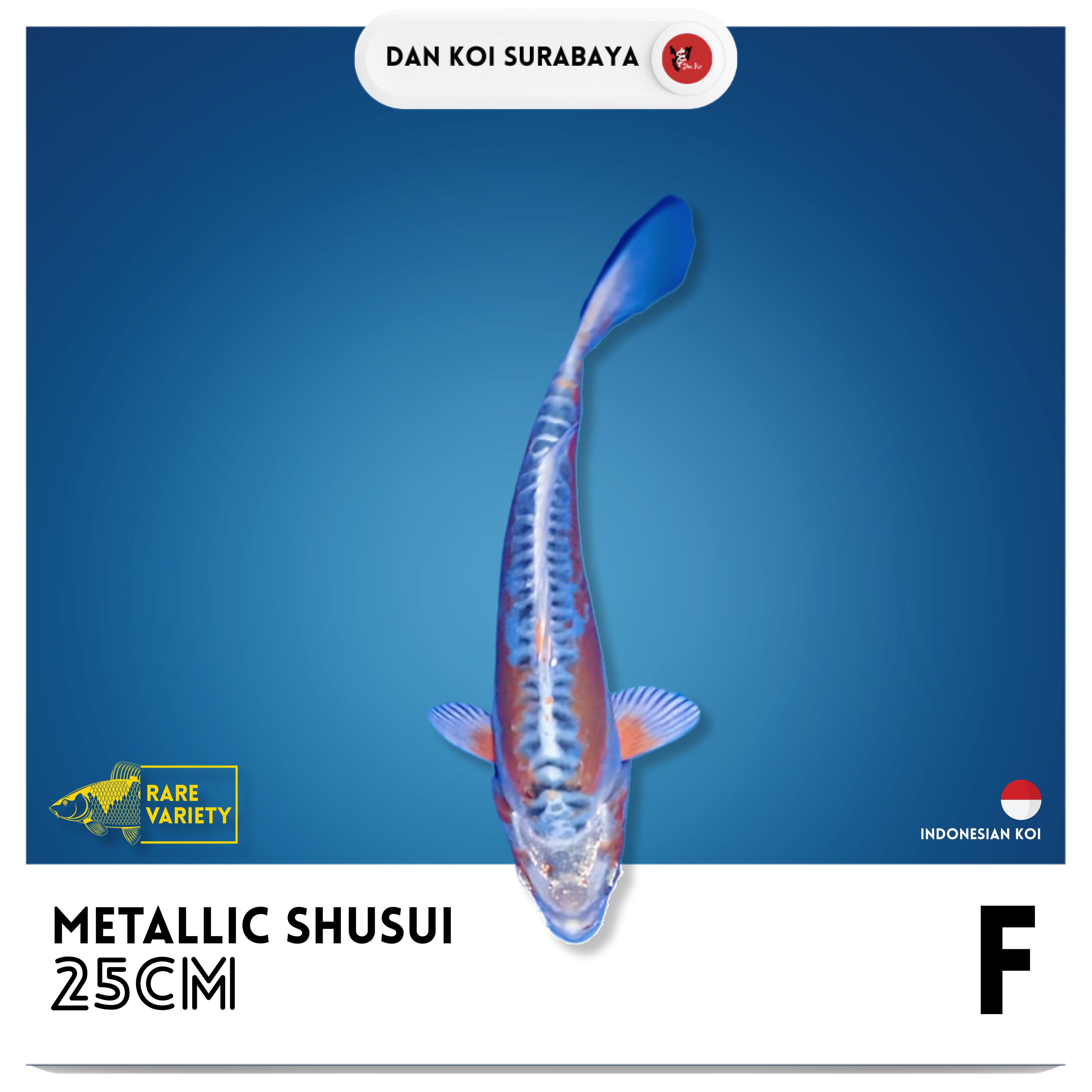 METALLIC SHUSUI 25cm