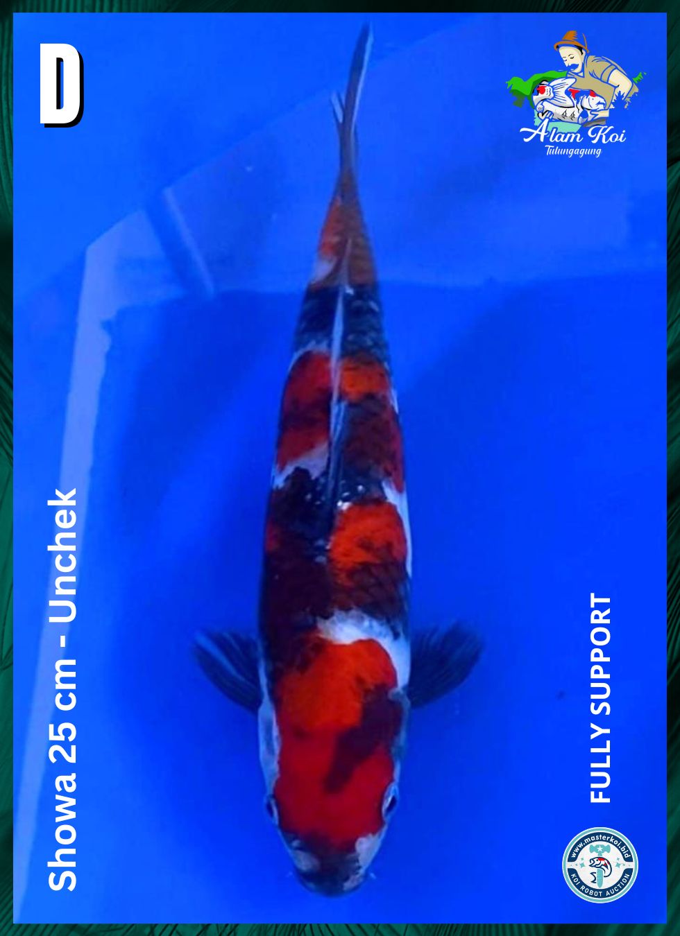 SHOWA 25cm