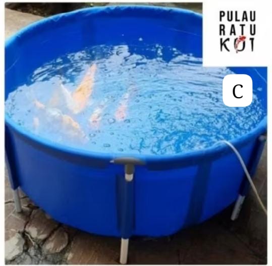 1 UNIT KOLAM ORCHID FULL SETT PARALON TINGGAL PASANG PRODUK TERBARU DARI TOKO SIZE D100 T50 NON DRAINASE PEMBAYARAN WAJIB DI INVOICE ADMIN 1cm