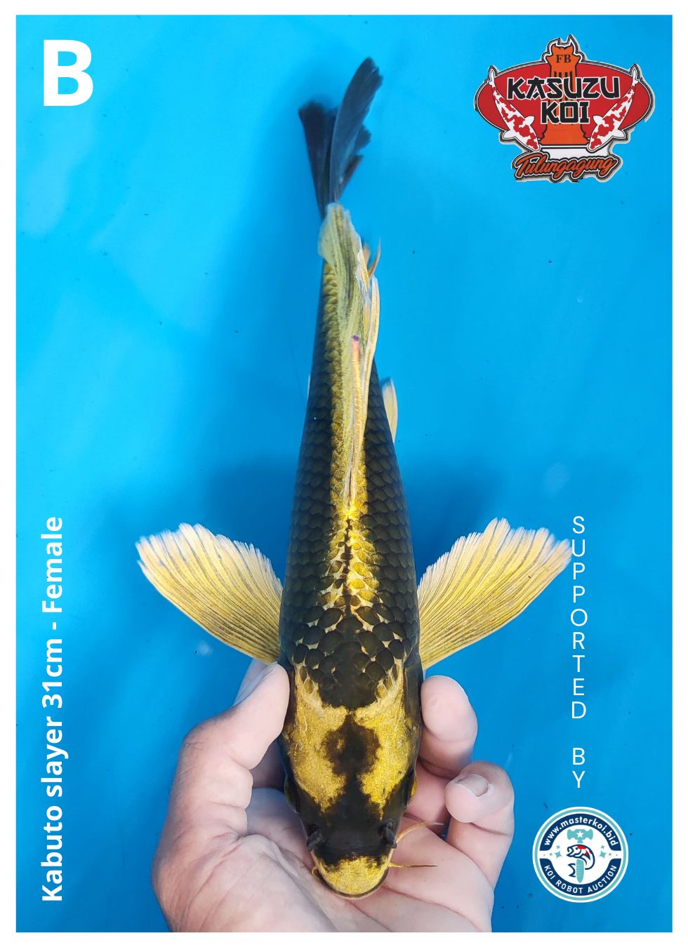 KABUTO SLAYER 31cm