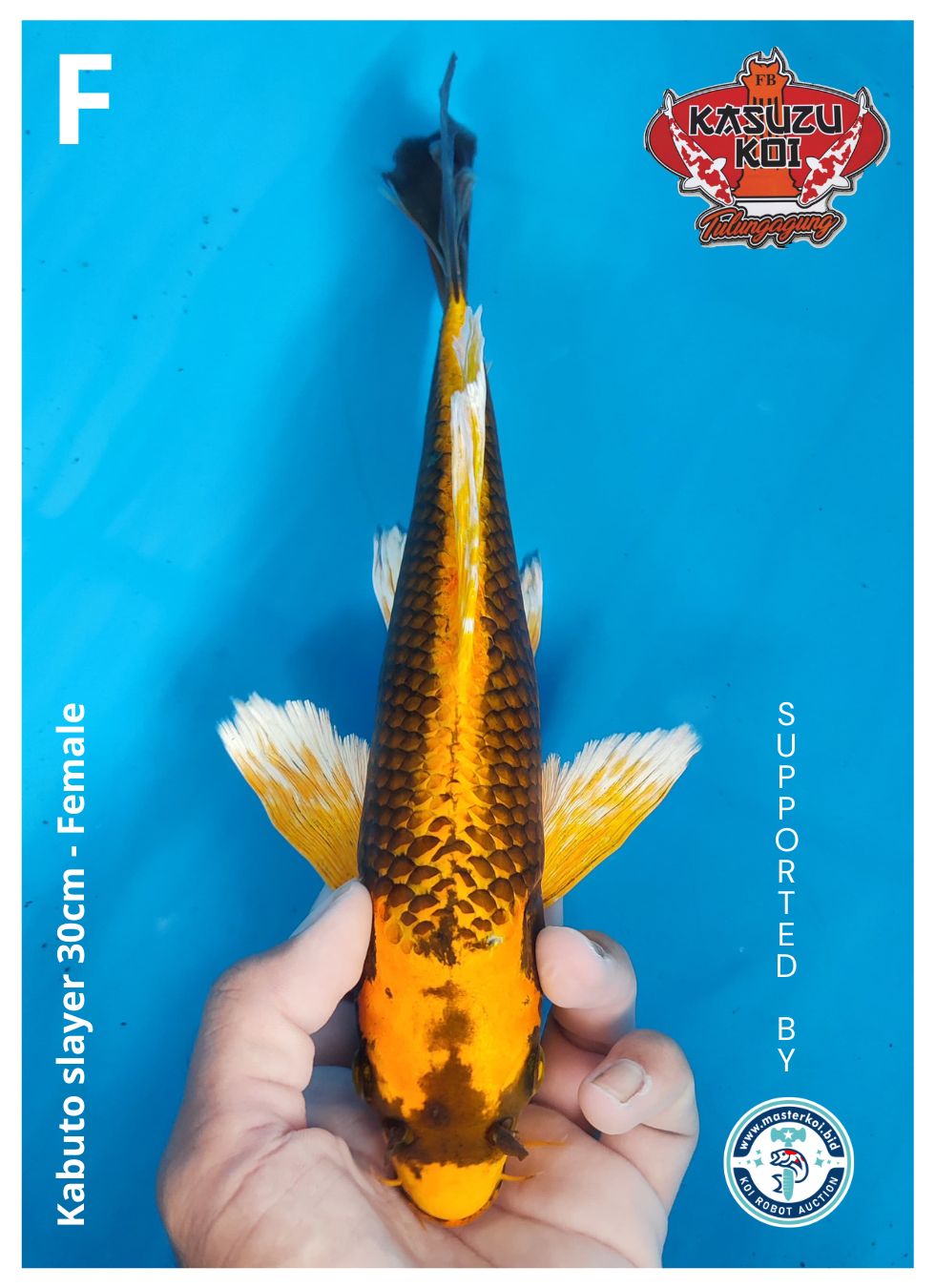 KABUTO SLAYER 30cm