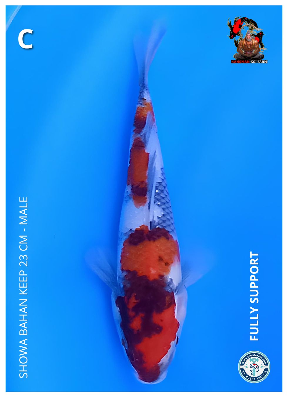 SHOWA BAHAN KEEP 23cm