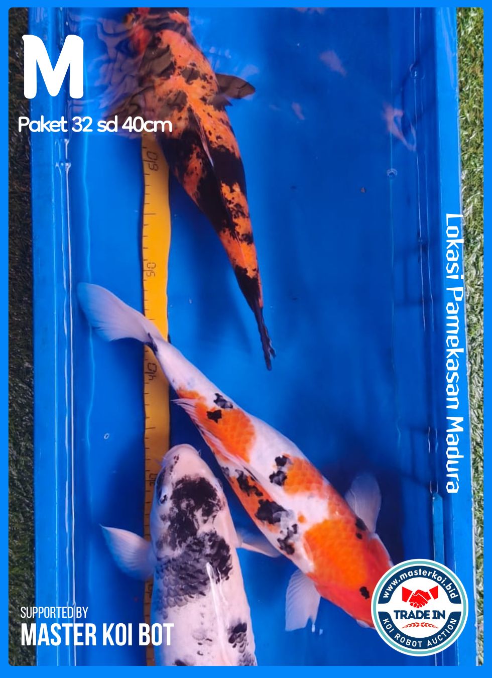 PAKET 32 SD 40cm