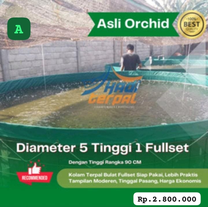 SEPESIAL 1 UNIT KOLAM VETT JUMBO FULL SETT D5 T1 NON DRAINASE PRAKTIS DAN EKONOMIS PEMBAYARAN WAJIB DI NO REKENING INVOICE ADMIN TOKO 5cm