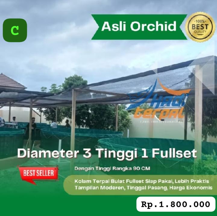 SEPESIAL 1 UNIT KOLAM VETT JUMBO FULL SETT D3 T1 NON DRAINASE PRAKTIS DAN EKONOMIS PEMBAYARAN WAJIB DI NO REKENING INVOICE ADMIN TOKO 5cm