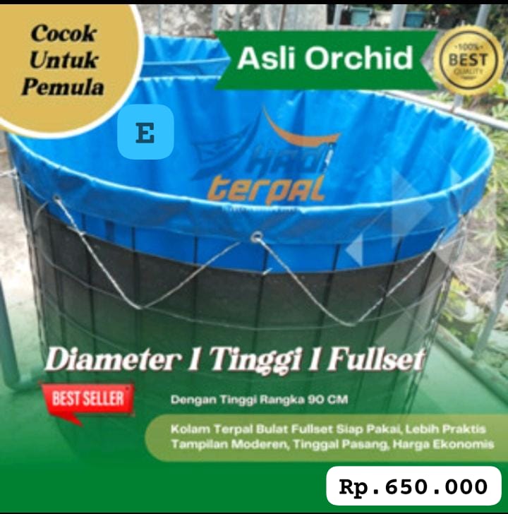 SEPESIAL 1 UNIT KOLAM VETT FULL SETT D1 T1 NON DRAINASE PRAKTIS DAN EKONOMIS PEMBAYARAN WAJIB DI NO REKENING INVOICE ADMIN TOKO 5cm