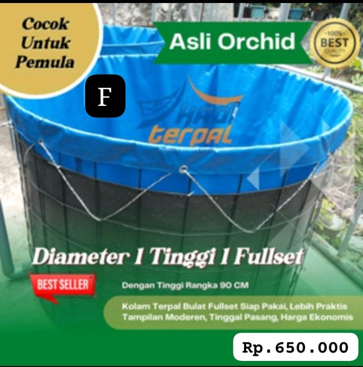 SEPESIAL 1 UNIT KOLAM VETT FULL SETT D1 T1 NON DRAINASE PRAKTIS DAN EKONOMIS PEMBAYARAN WAJIB DI NO REKENING INVOICE ADMIN TOKO 5cm