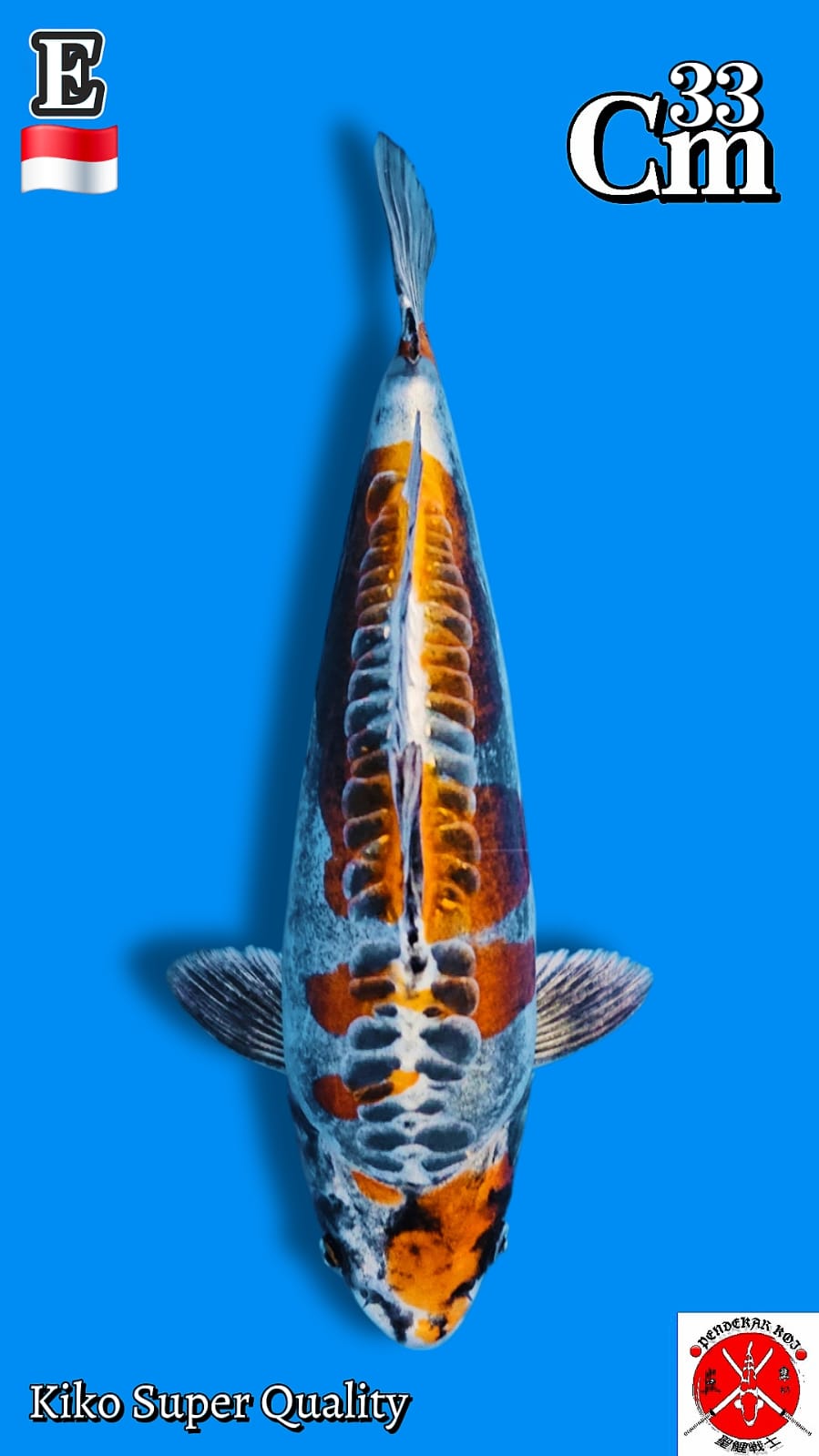 KIKO SUPER QUALITY 33cm