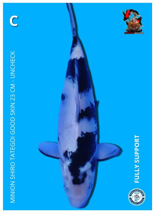 MINION SHIRO TATEGOI GOOD SKIN 23cm