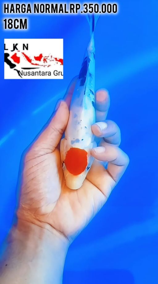 MINION SUPER THANCO DOIT ORIGINAL LOKASI BOJONEGORO 18cm