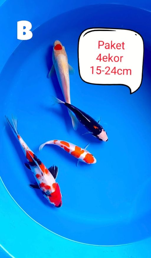 PAKET MIX 4 EKOR 1524cm