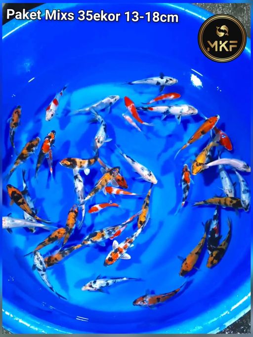 PAKET MIXS 35EKOR 13 SD 18cm