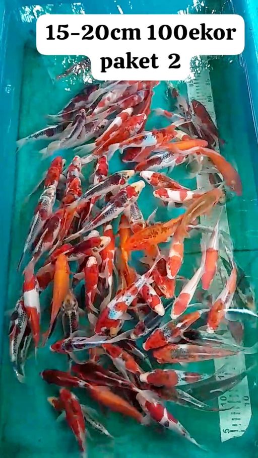 PKT MIX MAYORITAS GHOSIKI SLAYER DN NON SLAYER 100 EKOR ONGKIR PACK 225 NET SEJAWA BALI JANGAN DI BID KLO MERASA KEBERATAN DI ONGKIR 1520cm
