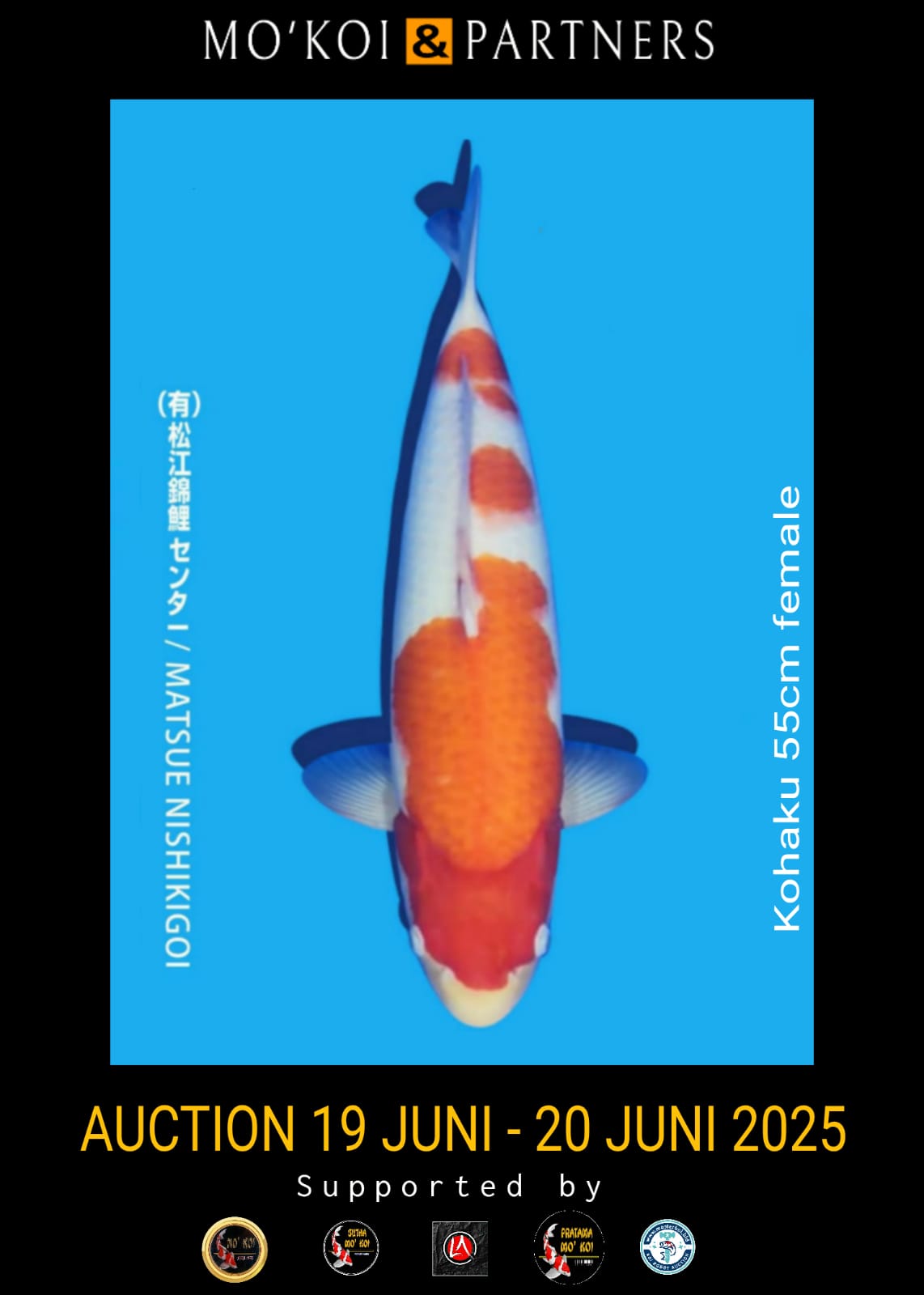 Lelang Koi Online, Jual Beli Ikan Koi, Pusat Jual Beli Koi, Info Lelang Koi Hari Ini, Platform Jual Beli Koi, Jual Beli Ikan Koi Online, Marketplace Ikan Koi, Jual Koi Terbaik, Tempat Beli Koi Berkualitas, Pasar Ikan Koi Online Terpercaya, Penjual Ikan Koi Terpercaya, Beli Koi Hias Online, Ikan Koi untuk Dijual, Koi Kualitas Terbaik, Toko Online Ikan Koi, Koi Hias Untuk Dijual, Jual Beli Ikan Koi Lokal, Koi Indonesia Online, Pusat Jual Beli Koi Terbesar