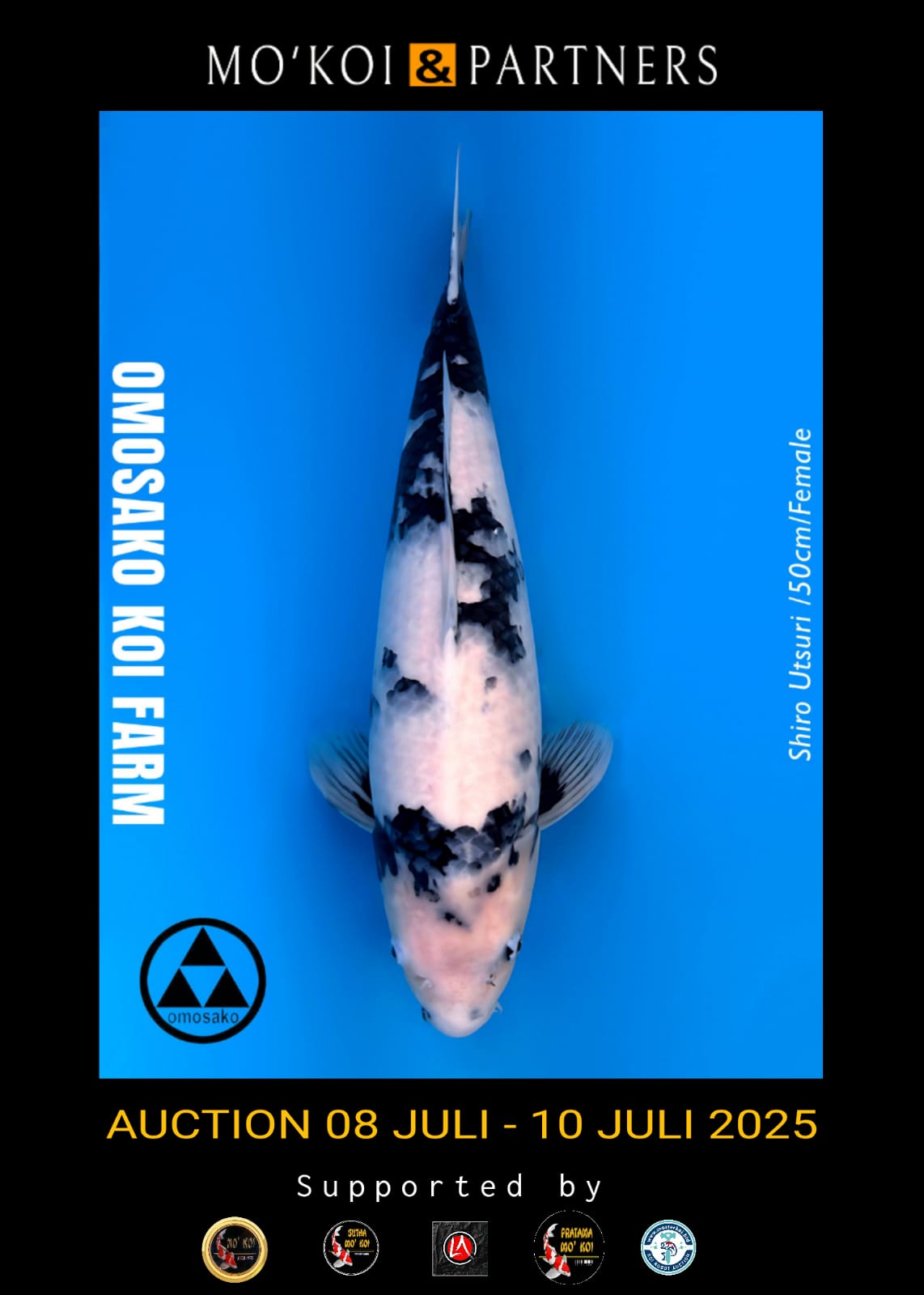 Lelang Koi Online, Jual Beli Ikan Koi, Pusat Jual Beli Koi, Info Lelang Koi Hari Ini, Platform Jual Beli Koi, Jual Beli Ikan Koi Online, Marketplace Ikan Koi, Jual Koi Terbaik, Tempat Beli Koi Berkualitas, Pasar Ikan Koi Online Terpercaya, Penjual Ikan Koi Terpercaya, Beli Koi Hias Online, Ikan Koi untuk Dijual, Koi Kualitas Terbaik, Toko Online Ikan Koi, Koi Hias Untuk Dijual, Jual Beli Ikan Koi Lokal, Koi Indonesia Online, Pusat Jual Beli Koi Terbesar