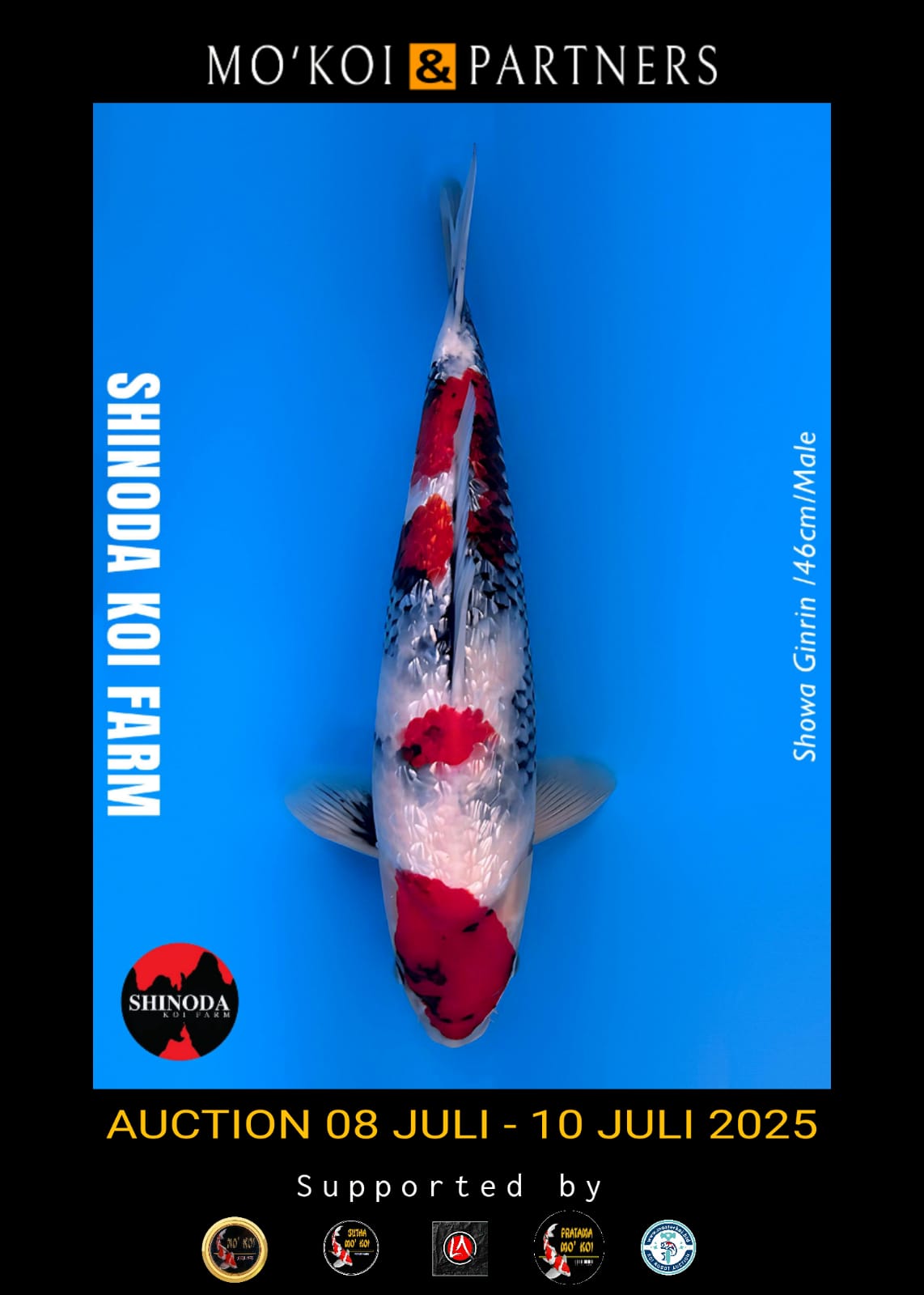 Lelang Koi Online, Jual Beli Ikan Koi, Pusat Jual Beli Koi, Info Lelang Koi Hari Ini, Platform Jual Beli Koi, Jual Beli Ikan Koi Online, Marketplace Ikan Koi, Jual Koi Terbaik, Tempat Beli Koi Berkualitas, Pasar Ikan Koi Online Terpercaya, Penjual Ikan Koi Terpercaya, Beli Koi Hias Online, Ikan Koi untuk Dijual, Koi Kualitas Terbaik, Toko Online Ikan Koi, Koi Hias Untuk Dijual, Jual Beli Ikan Koi Lokal, Koi Indonesia Online, Pusat Jual Beli Koi Terbesar