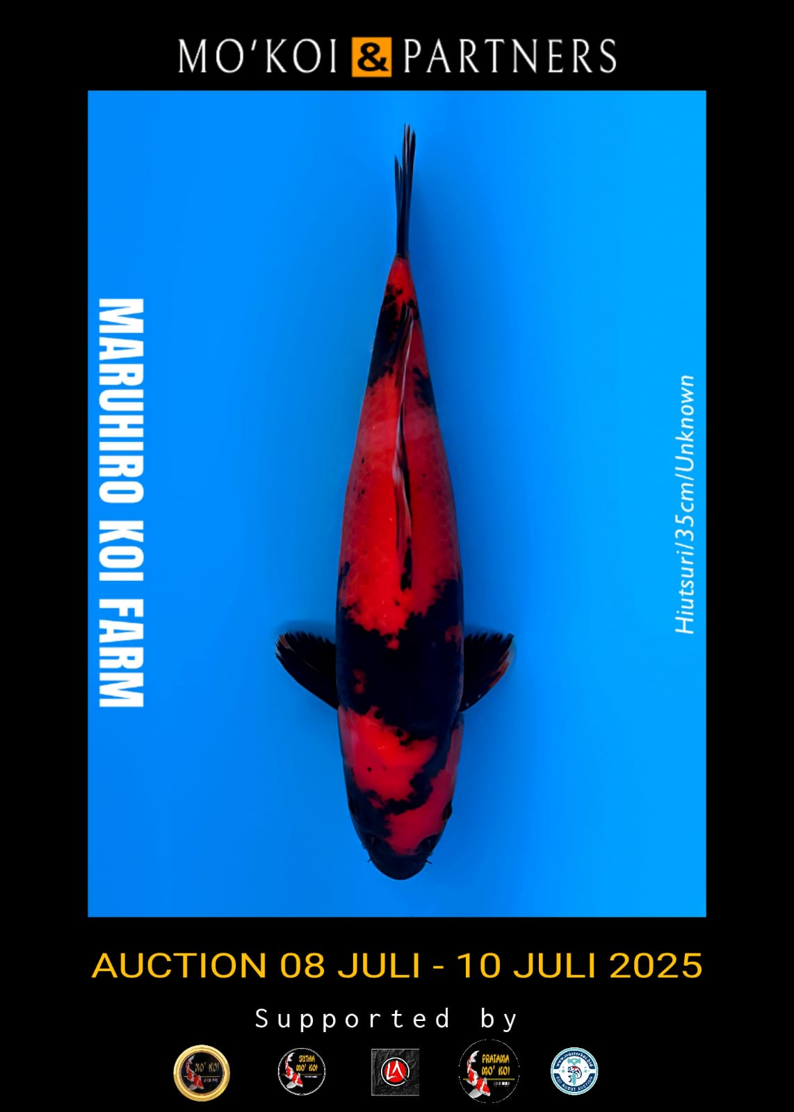 Lelang Koi Online, Jual Beli Ikan Koi, Pusat Jual Beli Koi, Info Lelang Koi Hari Ini, Platform Jual Beli Koi, Jual Beli Ikan Koi Online, Marketplace Ikan Koi, Jual Koi Terbaik, Tempat Beli Koi Berkualitas, Pasar Ikan Koi Online Terpercaya, Penjual Ikan Koi Terpercaya, Beli Koi Hias Online, Ikan Koi untuk Dijual, Koi Kualitas Terbaik, Toko Online Ikan Koi, Koi Hias Untuk Dijual, Jual Beli Ikan Koi Lokal, Koi Indonesia Online, Pusat Jual Beli Koi Terbesar