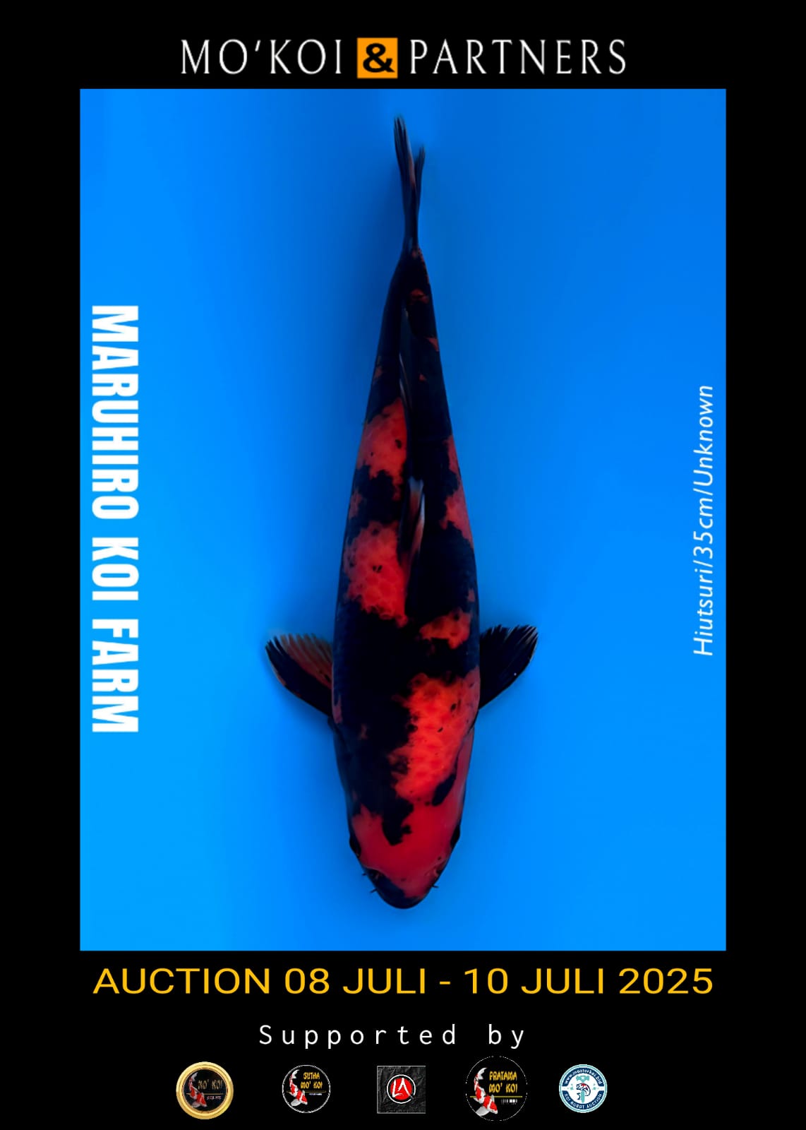 Lelang Koi Online, Jual Beli Ikan Koi, Pusat Jual Beli Koi, Info Lelang Koi Hari Ini, Platform Jual Beli Koi, Jual Beli Ikan Koi Online, Marketplace Ikan Koi, Jual Koi Terbaik, Tempat Beli Koi Berkualitas, Pasar Ikan Koi Online Terpercaya, Penjual Ikan Koi Terpercaya, Beli Koi Hias Online, Ikan Koi untuk Dijual, Koi Kualitas Terbaik, Toko Online Ikan Koi, Koi Hias Untuk Dijual, Jual Beli Ikan Koi Lokal, Koi Indonesia Online, Pusat Jual Beli Koi Terbesar