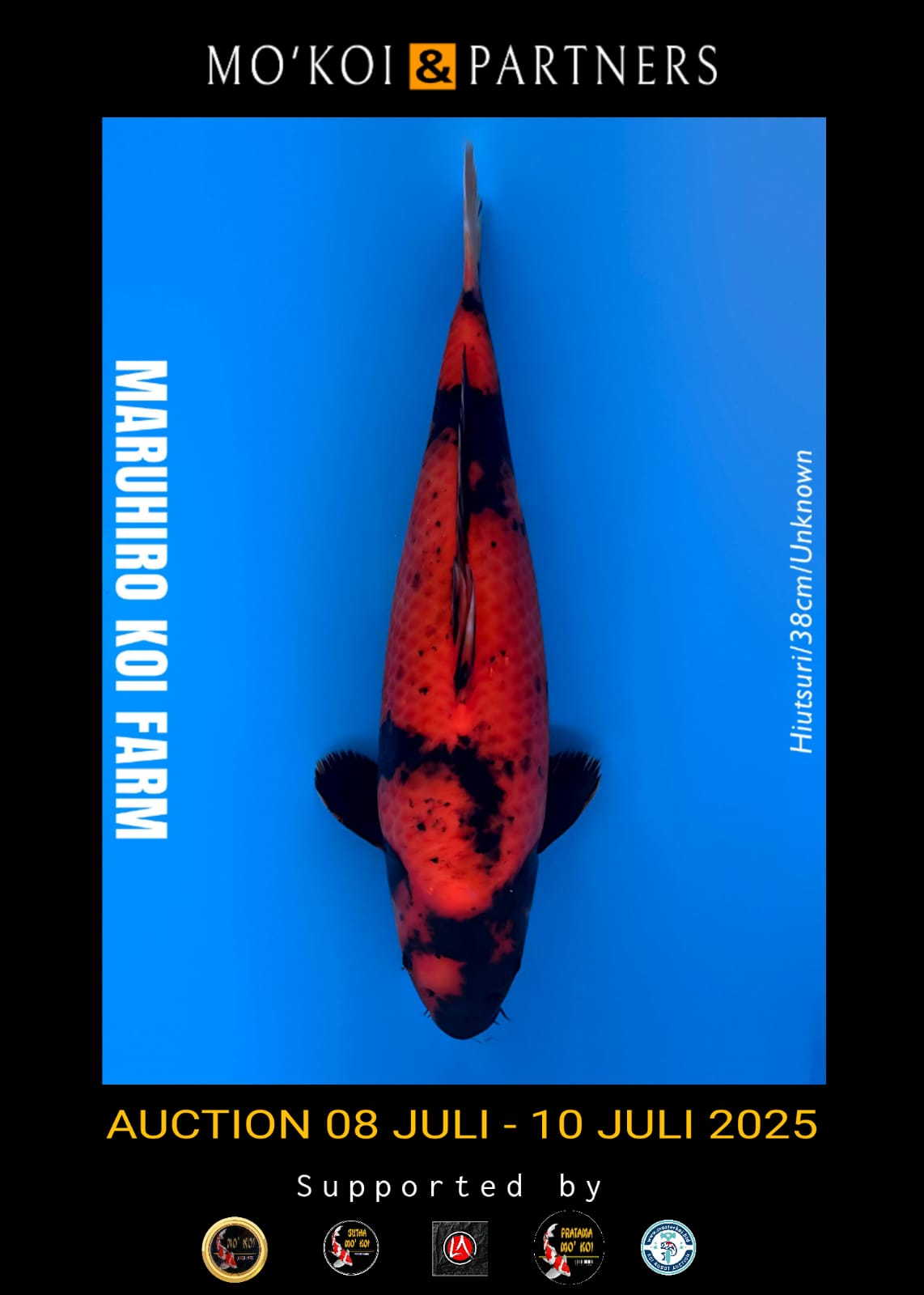 Lelang Koi Online, Jual Beli Ikan Koi, Pusat Jual Beli Koi, Info Lelang Koi Hari Ini, Platform Jual Beli Koi, Jual Beli Ikan Koi Online, Marketplace Ikan Koi, Jual Koi Terbaik, Tempat Beli Koi Berkualitas, Pasar Ikan Koi Online Terpercaya, Penjual Ikan Koi Terpercaya, Beli Koi Hias Online, Ikan Koi untuk Dijual, Koi Kualitas Terbaik, Toko Online Ikan Koi, Koi Hias Untuk Dijual, Jual Beli Ikan Koi Lokal, Koi Indonesia Online, Pusat Jual Beli Koi Terbesar