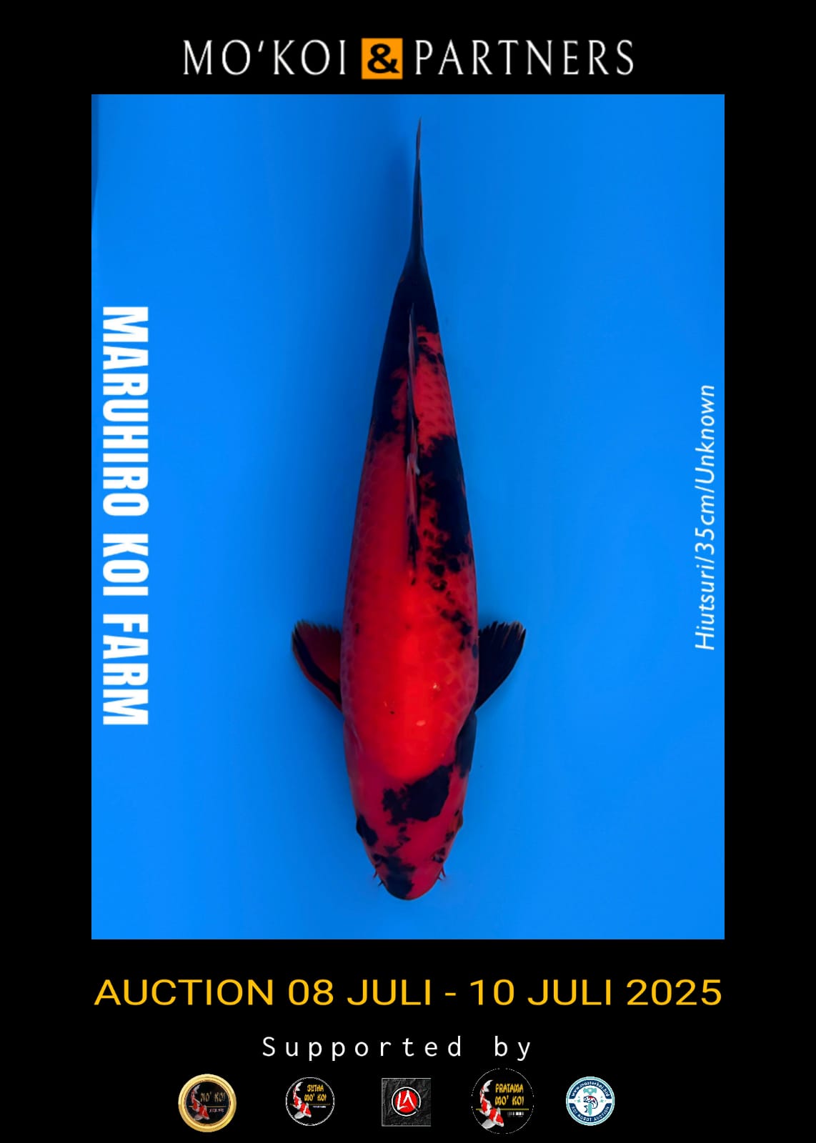 Lelang Koi Online, Jual Beli Ikan Koi, Pusat Jual Beli Koi, Info Lelang Koi Hari Ini, Platform Jual Beli Koi, Jual Beli Ikan Koi Online, Marketplace Ikan Koi, Jual Koi Terbaik, Tempat Beli Koi Berkualitas, Pasar Ikan Koi Online Terpercaya, Penjual Ikan Koi Terpercaya, Beli Koi Hias Online, Ikan Koi untuk Dijual, Koi Kualitas Terbaik, Toko Online Ikan Koi, Koi Hias Untuk Dijual, Jual Beli Ikan Koi Lokal, Koi Indonesia Online, Pusat Jual Beli Koi Terbesar