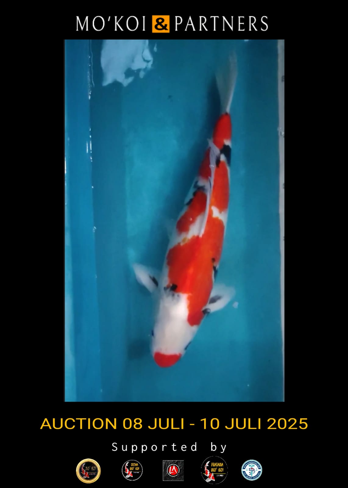Lelang Koi Online, Jual Beli Ikan Koi, Pusat Jual Beli Koi, Info Lelang Koi Hari Ini, Platform Jual Beli Koi, Jual Beli Ikan Koi Online, Marketplace Ikan Koi, Jual Koi Terbaik, Tempat Beli Koi Berkualitas, Pasar Ikan Koi Online Terpercaya, Penjual Ikan Koi Terpercaya, Beli Koi Hias Online, Ikan Koi untuk Dijual, Koi Kualitas Terbaik, Toko Online Ikan Koi, Koi Hias Untuk Dijual, Jual Beli Ikan Koi Lokal, Koi Indonesia Online, Pusat Jual Beli Koi Terbesar
