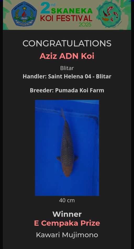 Lelang Koi Online, Jual Beli Ikan Koi, Pusat Jual Beli Koi, Info Lelang Koi Hari Ini, Platform Jual Beli Koi, Jual Beli Ikan Koi Online, Marketplace Ikan Koi, Jual Koi Terbaik, Tempat Beli Koi Berkualitas, Pasar Ikan Koi Online Terpercaya, Penjual Ikan Koi Terpercaya, Beli Koi Hias Online, Ikan Koi untuk Dijual, Koi Kualitas Terbaik, Toko Online Ikan Koi, Koi Hias Untuk Dijual, Jual Beli Ikan Koi Lokal, Koi Indonesia Online, Pusat Jual Beli Koi Terbesar