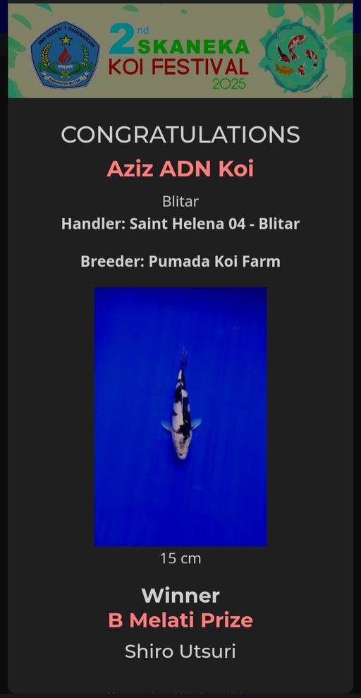 Lelang Koi Online, Jual Beli Ikan Koi, Pusat Jual Beli Koi, Info Lelang Koi Hari Ini, Platform Jual Beli Koi, Jual Beli Ikan Koi Online, Marketplace Ikan Koi, Jual Koi Terbaik, Tempat Beli Koi Berkualitas, Pasar Ikan Koi Online Terpercaya, Penjual Ikan Koi Terpercaya, Beli Koi Hias Online, Ikan Koi untuk Dijual, Koi Kualitas Terbaik, Toko Online Ikan Koi, Koi Hias Untuk Dijual, Jual Beli Ikan Koi Lokal, Koi Indonesia Online, Pusat Jual Beli Koi Terbesar