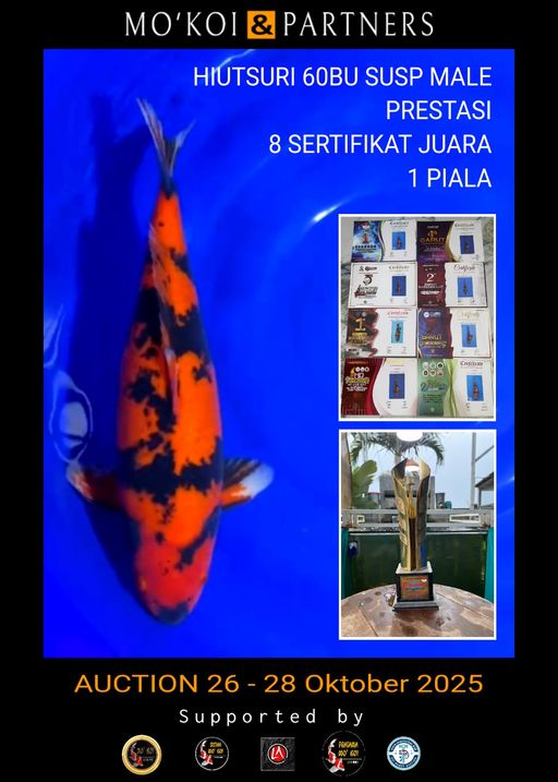 Lelang Koi Online, Jual Beli Ikan Koi, Pusat Jual Beli Koi, Info Lelang Koi Hari Ini, Platform Jual Beli Koi, Jual Beli Ikan Koi Online, Marketplace Ikan Koi, Jual Koi Terbaik, Tempat Beli Koi Berkualitas, Pasar Ikan Koi Online Terpercaya, Penjual Ikan Koi Terpercaya, Beli Koi Hias Online, Ikan Koi untuk Dijual, Koi Kualitas Terbaik, Toko Online Ikan Koi, Koi Hias Untuk Dijual, Jual Beli Ikan Koi Lokal, Koi Indonesia Online, Pusat Jual Beli Koi Terbesar