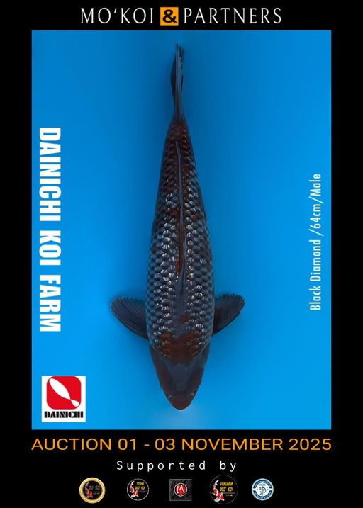 Lelang Koi Online, Jual Beli Ikan Koi, Pusat Jual Beli Koi, Info Lelang Koi Hari Ini, Platform Jual Beli Koi, Jual Beli Ikan Koi Online, Marketplace Ikan Koi, Jual Koi Terbaik, Tempat Beli Koi Berkualitas, Pasar Ikan Koi Online Terpercaya, Penjual Ikan Koi Terpercaya, Beli Koi Hias Online, Ikan Koi untuk Dijual, Koi Kualitas Terbaik, Toko Online Ikan Koi, Koi Hias Untuk Dijual, Jual Beli Ikan Koi Lokal, Koi Indonesia Online, Pusat Jual Beli Koi Terbesar