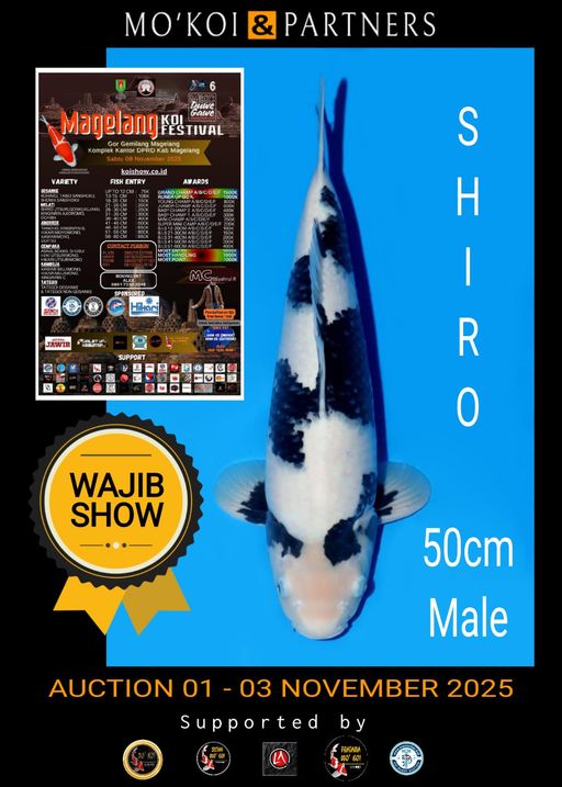 Lelang Koi Online, Jual Beli Ikan Koi, Pusat Jual Beli Koi, Info Lelang Koi Hari Ini, Platform Jual Beli Koi, Jual Beli Ikan Koi Online, Marketplace Ikan Koi, Jual Koi Terbaik, Tempat Beli Koi Berkualitas, Pasar Ikan Koi Online Terpercaya, Penjual Ikan Koi Terpercaya, Beli Koi Hias Online, Ikan Koi untuk Dijual, Koi Kualitas Terbaik, Toko Online Ikan Koi, Koi Hias Untuk Dijual, Jual Beli Ikan Koi Lokal, Koi Indonesia Online, Pusat Jual Beli Koi Terbesar