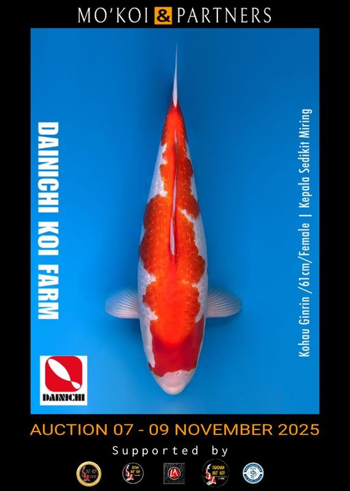 Lelang Koi Online, Jual Beli Ikan Koi, Pusat Jual Beli Koi, Info Lelang Koi Hari Ini, Platform Jual Beli Koi, Jual Beli Ikan Koi Online, Marketplace Ikan Koi, Jual Koi Terbaik, Tempat Beli Koi Berkualitas, Pasar Ikan Koi Online Terpercaya, Penjual Ikan Koi Terpercaya, Beli Koi Hias Online, Ikan Koi untuk Dijual, Koi Kualitas Terbaik, Toko Online Ikan Koi, Koi Hias Untuk Dijual, Jual Beli Ikan Koi Lokal, Koi Indonesia Online, Pusat Jual Beli Koi Terbesar