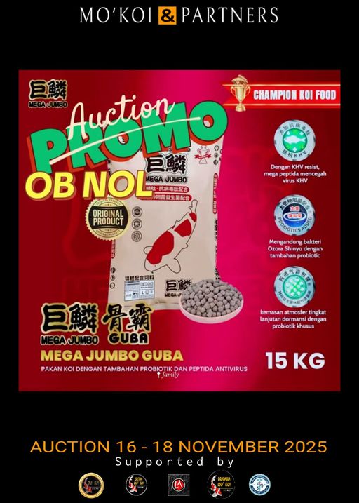 Lelang Koi Online, Jual Beli Ikan Koi, Pusat Jual Beli Koi, Info Lelang Koi Hari Ini, Platform Jual Beli Koi, Jual Beli Ikan Koi Online, Marketplace Ikan Koi, Jual Koi Terbaik, Tempat Beli Koi Berkualitas, Pasar Ikan Koi Online Terpercaya, Penjual Ikan Koi Terpercaya, Beli Koi Hias Online, Ikan Koi untuk Dijual, Koi Kualitas Terbaik, Toko Online Ikan Koi, Koi Hias Untuk Dijual, Jual Beli Ikan Koi Lokal, Koi Indonesia Online, Pusat Jual Beli Koi Terbesar