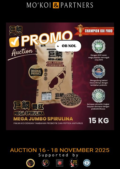 Lelang Koi Online, Jual Beli Ikan Koi, Pusat Jual Beli Koi, Info Lelang Koi Hari Ini, Platform Jual Beli Koi, Jual Beli Ikan Koi Online, Marketplace Ikan Koi, Jual Koi Terbaik, Tempat Beli Koi Berkualitas, Pasar Ikan Koi Online Terpercaya, Penjual Ikan Koi Terpercaya, Beli Koi Hias Online, Ikan Koi untuk Dijual, Koi Kualitas Terbaik, Toko Online Ikan Koi, Koi Hias Untuk Dijual, Jual Beli Ikan Koi Lokal, Koi Indonesia Online, Pusat Jual Beli Koi Terbesar