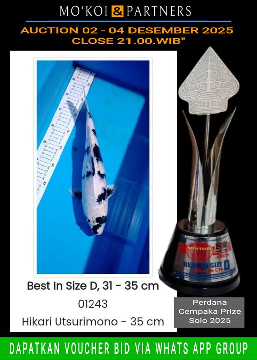 Lelang Koi Online, Jual Beli Ikan Koi, Pusat Jual Beli Koi, Info Lelang Koi Hari Ini, Platform Jual Beli Koi, Jual Beli Ikan Koi Online, Marketplace Ikan Koi, Jual Koi Terbaik, Tempat Beli Koi Berkualitas, Pasar Ikan Koi Online Terpercaya, Penjual Ikan Koi Terpercaya, Beli Koi Hias Online, Ikan Koi untuk Dijual, Koi Kualitas Terbaik, Toko Online Ikan Koi, Koi Hias Untuk Dijual, Jual Beli Ikan Koi Lokal, Koi Indonesia Online, Pusat Jual Beli Koi Terbesar