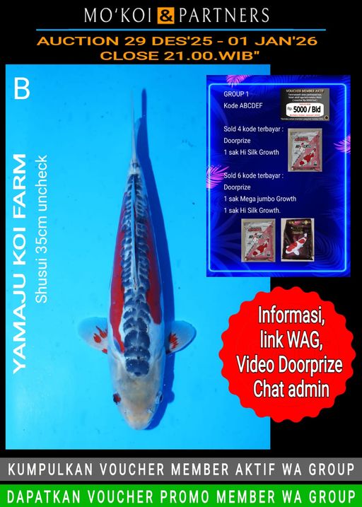 Lelang Koi Online, Jual Beli Ikan Koi, Pusat Jual Beli Koi, Info Lelang Koi Hari Ini, Platform Jual Beli Koi, Jual Beli Ikan Koi Online, Marketplace Ikan Koi, Jual Koi Terbaik, Tempat Beli Koi Berkualitas, Pasar Ikan Koi Online Terpercaya, Penjual Ikan Koi Terpercaya, Beli Koi Hias Online, Ikan Koi untuk Dijual, Koi Kualitas Terbaik, Toko Online Ikan Koi, Koi Hias Untuk Dijual, Jual Beli Ikan Koi Lokal, Koi Indonesia Online, Pusat Jual Beli Koi Terbesar