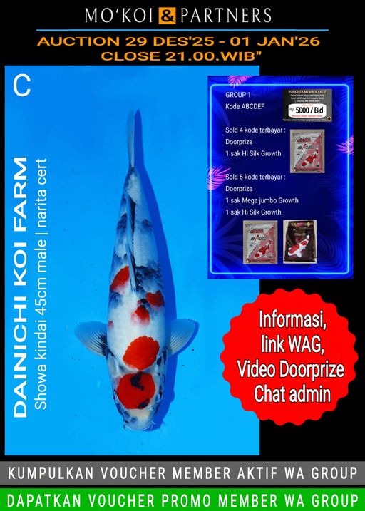 Lelang Koi Online, Jual Beli Ikan Koi, Pusat Jual Beli Koi, Info Lelang Koi Hari Ini, Platform Jual Beli Koi, Jual Beli Ikan Koi Online, Marketplace Ikan Koi, Jual Koi Terbaik, Tempat Beli Koi Berkualitas, Pasar Ikan Koi Online Terpercaya, Penjual Ikan Koi Terpercaya, Beli Koi Hias Online, Ikan Koi untuk Dijual, Koi Kualitas Terbaik, Toko Online Ikan Koi, Koi Hias Untuk Dijual, Jual Beli Ikan Koi Lokal, Koi Indonesia Online, Pusat Jual Beli Koi Terbesar