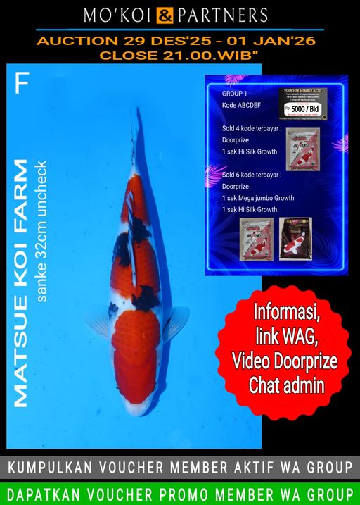 Lelang Koi Online, Jual Beli Ikan Koi, Pusat Jual Beli Koi, Info Lelang Koi Hari Ini, Platform Jual Beli Koi, Jual Beli Ikan Koi Online, Marketplace Ikan Koi, Jual Koi Terbaik, Tempat Beli Koi Berkualitas, Pasar Ikan Koi Online Terpercaya, Penjual Ikan Koi Terpercaya, Beli Koi Hias Online, Ikan Koi untuk Dijual, Koi Kualitas Terbaik, Toko Online Ikan Koi, Koi Hias Untuk Dijual, Jual Beli Ikan Koi Lokal, Koi Indonesia Online, Pusat Jual Beli Koi Terbesar