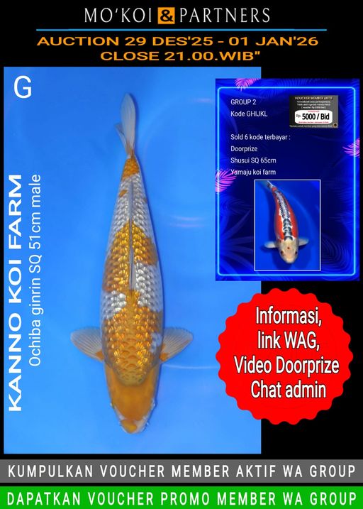 Lelang Koi Online, Jual Beli Ikan Koi, Pusat Jual Beli Koi, Info Lelang Koi Hari Ini, Platform Jual Beli Koi, Jual Beli Ikan Koi Online, Marketplace Ikan Koi, Jual Koi Terbaik, Tempat Beli Koi Berkualitas, Pasar Ikan Koi Online Terpercaya, Penjual Ikan Koi Terpercaya, Beli Koi Hias Online, Ikan Koi untuk Dijual, Koi Kualitas Terbaik, Toko Online Ikan Koi, Koi Hias Untuk Dijual, Jual Beli Ikan Koi Lokal, Koi Indonesia Online, Pusat Jual Beli Koi Terbesar