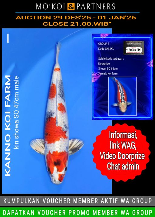 Lelang Koi Online, Jual Beli Ikan Koi, Pusat Jual Beli Koi, Info Lelang Koi Hari Ini, Platform Jual Beli Koi, Jual Beli Ikan Koi Online, Marketplace Ikan Koi, Jual Koi Terbaik, Tempat Beli Koi Berkualitas, Pasar Ikan Koi Online Terpercaya, Penjual Ikan Koi Terpercaya, Beli Koi Hias Online, Ikan Koi untuk Dijual, Koi Kualitas Terbaik, Toko Online Ikan Koi, Koi Hias Untuk Dijual, Jual Beli Ikan Koi Lokal, Koi Indonesia Online, Pusat Jual Beli Koi Terbesar