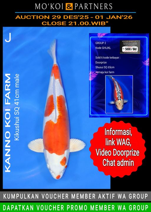 Lelang Koi Online, Jual Beli Ikan Koi, Pusat Jual Beli Koi, Info Lelang Koi Hari Ini, Platform Jual Beli Koi, Jual Beli Ikan Koi Online, Marketplace Ikan Koi, Jual Koi Terbaik, Tempat Beli Koi Berkualitas, Pasar Ikan Koi Online Terpercaya, Penjual Ikan Koi Terpercaya, Beli Koi Hias Online, Ikan Koi untuk Dijual, Koi Kualitas Terbaik, Toko Online Ikan Koi, Koi Hias Untuk Dijual, Jual Beli Ikan Koi Lokal, Koi Indonesia Online, Pusat Jual Beli Koi Terbesar