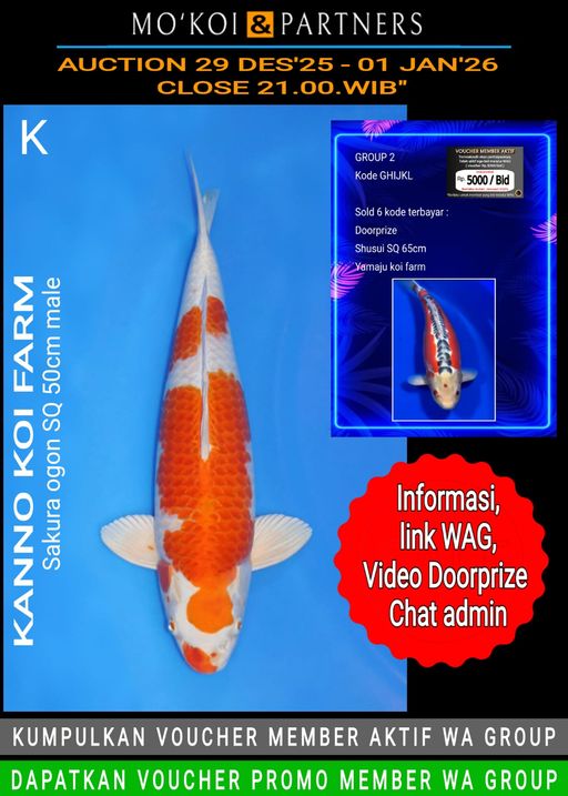 Lelang Koi Online, Jual Beli Ikan Koi, Pusat Jual Beli Koi, Info Lelang Koi Hari Ini, Platform Jual Beli Koi, Jual Beli Ikan Koi Online, Marketplace Ikan Koi, Jual Koi Terbaik, Tempat Beli Koi Berkualitas, Pasar Ikan Koi Online Terpercaya, Penjual Ikan Koi Terpercaya, Beli Koi Hias Online, Ikan Koi untuk Dijual, Koi Kualitas Terbaik, Toko Online Ikan Koi, Koi Hias Untuk Dijual, Jual Beli Ikan Koi Lokal, Koi Indonesia Online, Pusat Jual Beli Koi Terbesar