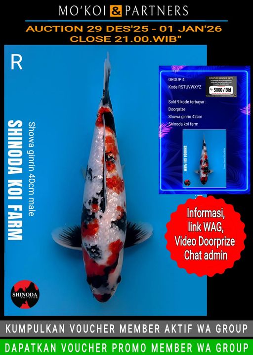 Lelang Koi Online, Jual Beli Ikan Koi, Pusat Jual Beli Koi, Info Lelang Koi Hari Ini, Platform Jual Beli Koi, Jual Beli Ikan Koi Online, Marketplace Ikan Koi, Jual Koi Terbaik, Tempat Beli Koi Berkualitas, Pasar Ikan Koi Online Terpercaya, Penjual Ikan Koi Terpercaya, Beli Koi Hias Online, Ikan Koi untuk Dijual, Koi Kualitas Terbaik, Toko Online Ikan Koi, Koi Hias Untuk Dijual, Jual Beli Ikan Koi Lokal, Koi Indonesia Online, Pusat Jual Beli Koi Terbesar