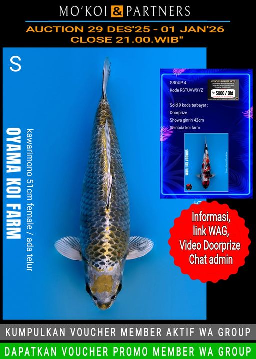 Lelang Koi Online, Jual Beli Ikan Koi, Pusat Jual Beli Koi, Info Lelang Koi Hari Ini, Platform Jual Beli Koi, Jual Beli Ikan Koi Online, Marketplace Ikan Koi, Jual Koi Terbaik, Tempat Beli Koi Berkualitas, Pasar Ikan Koi Online Terpercaya, Penjual Ikan Koi Terpercaya, Beli Koi Hias Online, Ikan Koi untuk Dijual, Koi Kualitas Terbaik, Toko Online Ikan Koi, Koi Hias Untuk Dijual, Jual Beli Ikan Koi Lokal, Koi Indonesia Online, Pusat Jual Beli Koi Terbesar